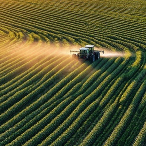 Estimulantes agrícolas