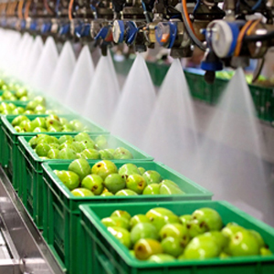 Lavado de alimentos Industrias Alimentarias